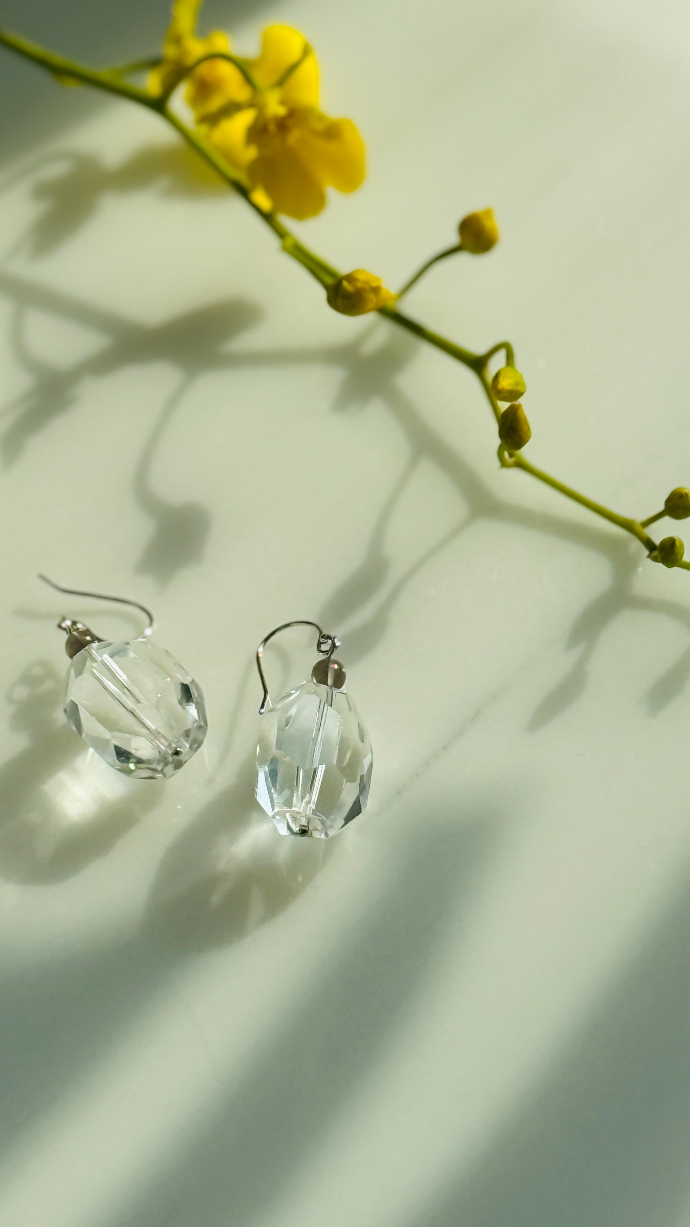 Monologue · Natural Clear Quartz Earrings