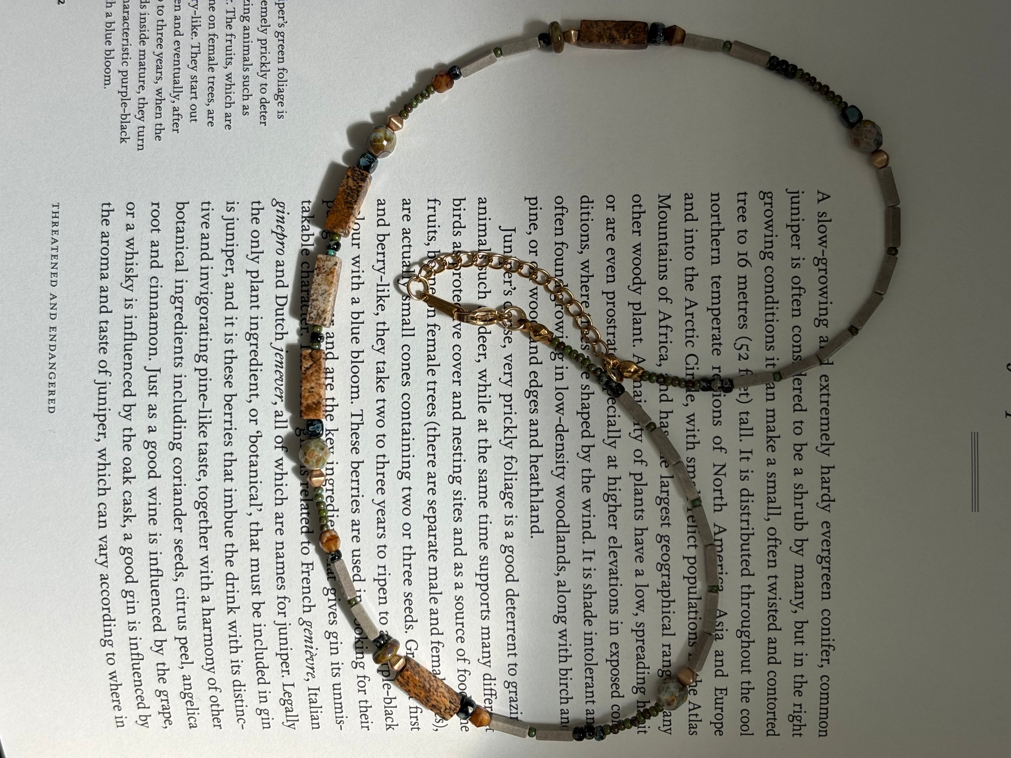 Fieldnote · Necklace reads like a line drawn through terrain