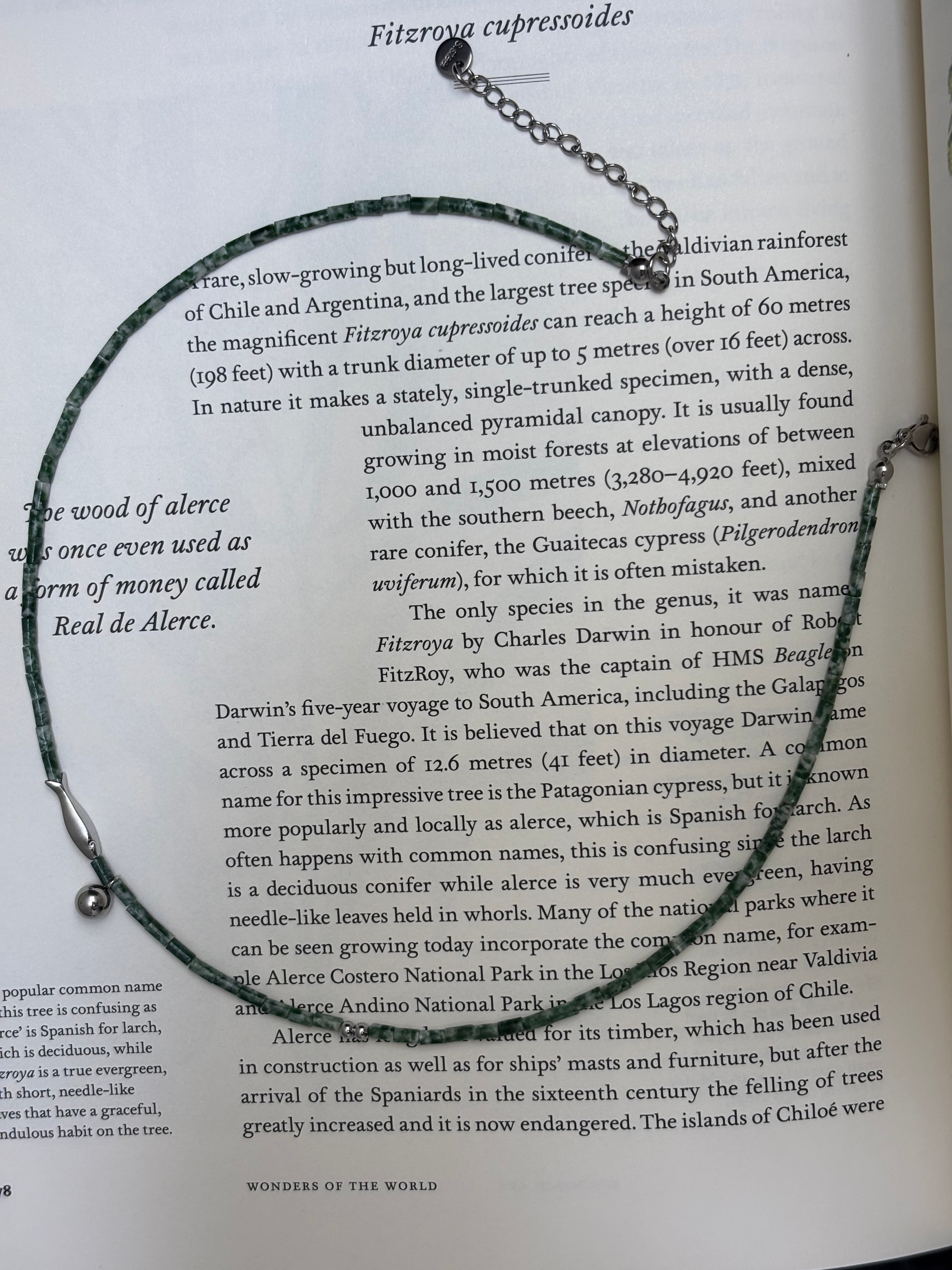 Algaeline · Green dot stone Necklace
